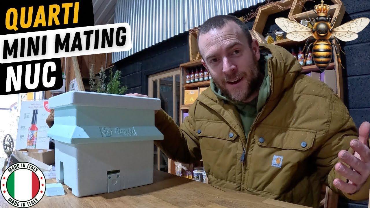 Обзор нуклеуса Quarti для спаривания маток: лучший ли это мини-улей для выращивания маток?