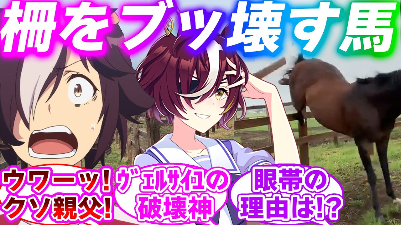 タニノギムレットとかいうウオッカの親父で牧柵の破壊神に対するみんなの反応集【ウマ娘プリティーダービー】