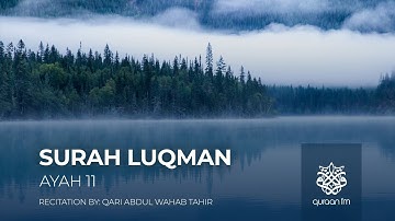 Surah Luqman | Ayah 11 | هـذا خلق الله | للقارئ عبدالوهاب طـاهر