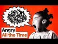 How Social Media Makes Us Angry All the Time | Molly Crockett | Big Think