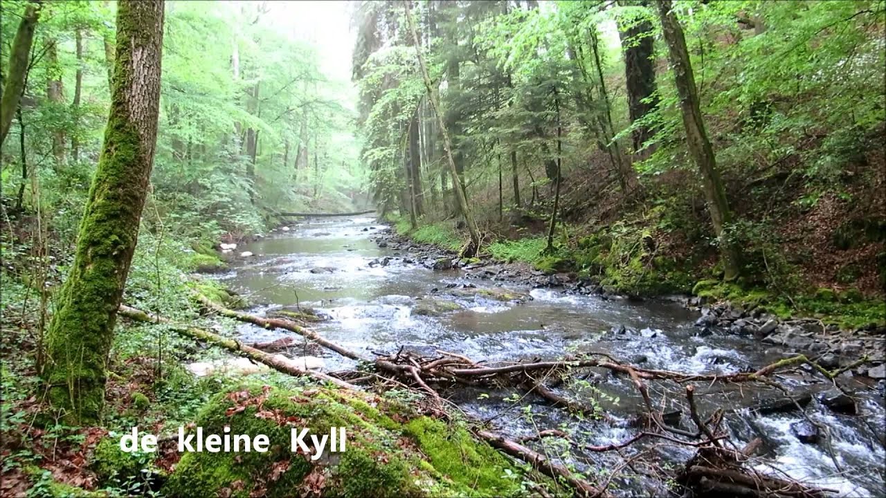 Manderscheid Eifel Manderscheid Eifel