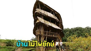 แอ่วบ้านแม่กลางหลวง EP.3 บ้านไม้ไผ่ยักษ์สุดยอดที่พักวิวธรรมชาติร้อยล้าน Giant Bamboo Hut
