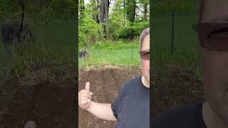 Should you use stakes for straight rows? #gardening #tips #shorts