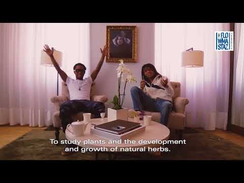 Video: Rae Sremmurd Vermögen: Wiki, Verheiratet, Familie, Hochzeit, Gehalt, Geschwister