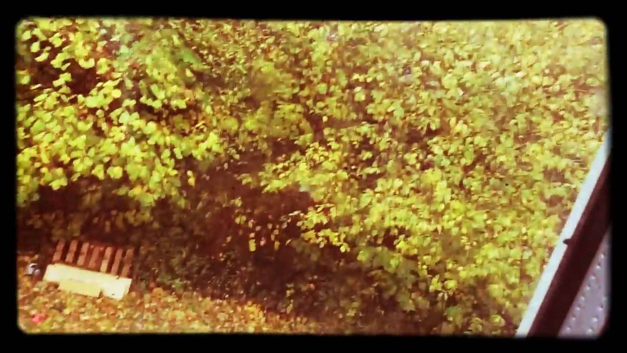 Showing My Garden And Next Door Neighbour House YouTube