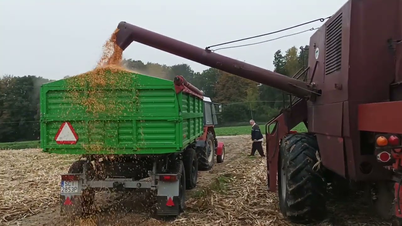 Bizon Z056 kukurydza na ziarno 2023  plus wyciąganie Zetor 7211