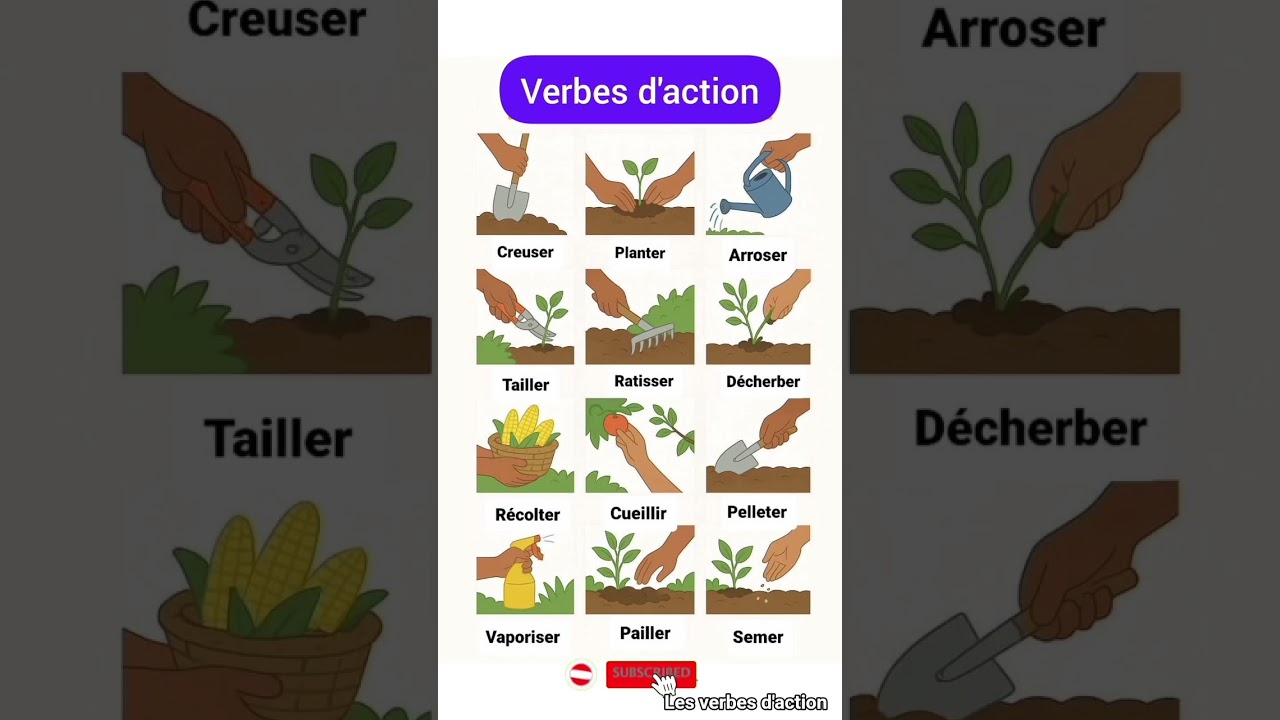 12 verbes d’action incontournables pour enrichir ton français!