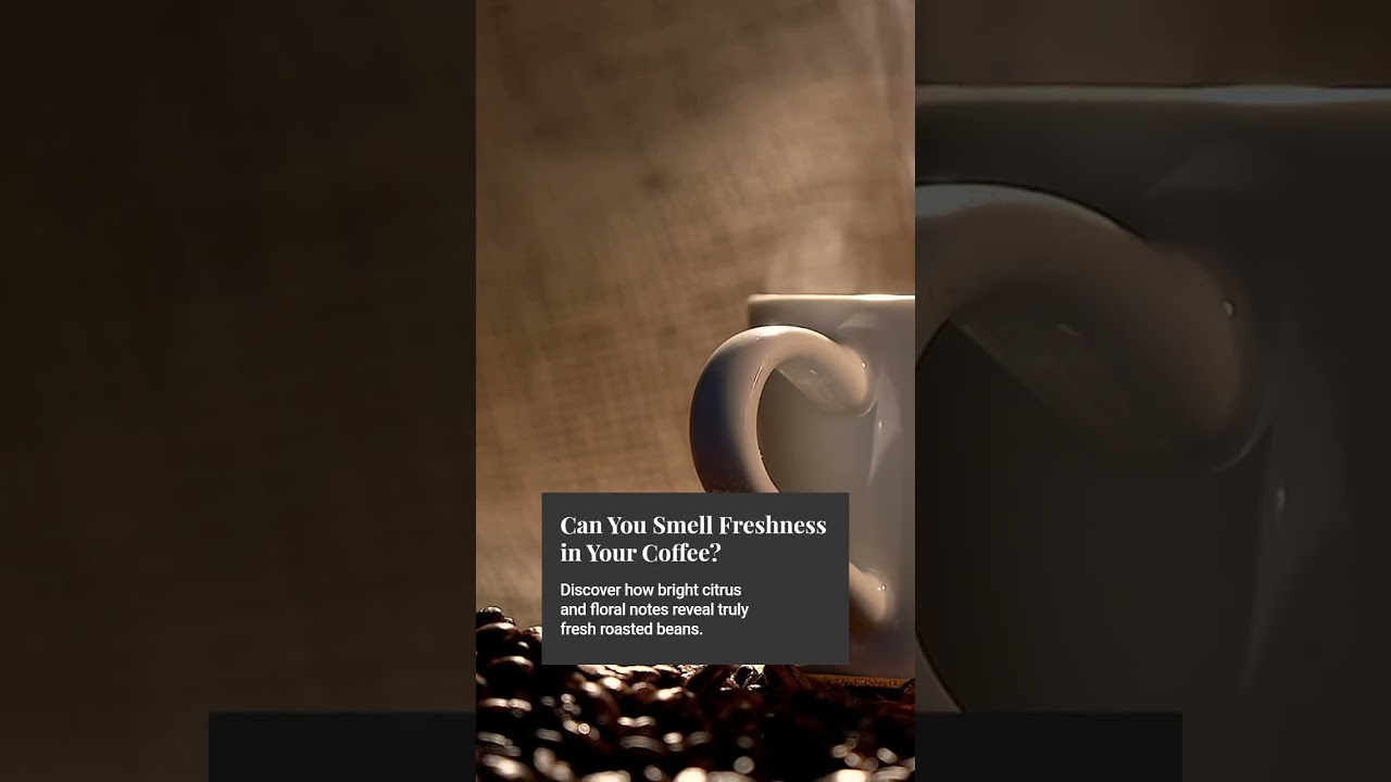Identifying Fresh Coffee Aromas Guide