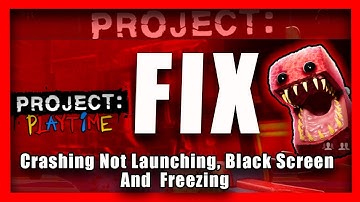 How To FIX Project Playtime Crashing Not Launching, Black Screen And  Freezing