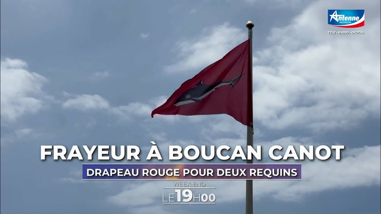 🇷🇪🦈 Boucan Canot : présence de 2️⃣requins dans le filet, plage fermée à la baignade - 22/02/2026