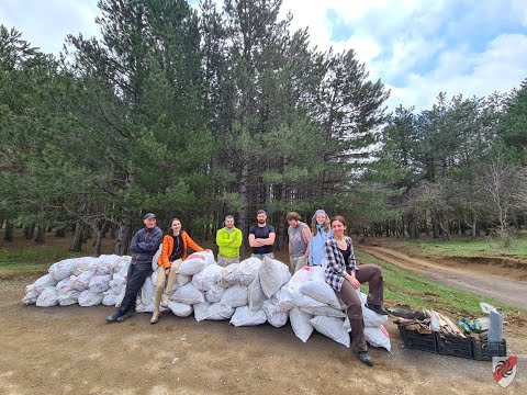 ნახშირგორას დასუფთავება