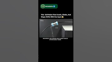 Shape-Shifting Soft Robot That Crawls, Climbs & Snaps 🤖 #robotics #science #futuretech #innovation