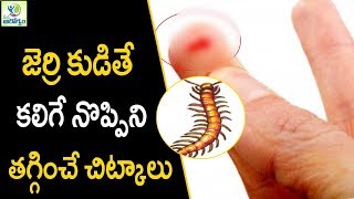 Centipede Bite Home Treatment - Health Tips In Telugu Mana Arogyam