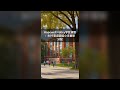 Hopewell Valley学区调整:80个家庭面临小学重新分配 #Shorts