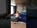 Listen To The Entire 2026 Album In Under 1 Minute 