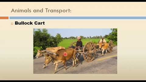 Metropolitan School Week 3 Class 3 Science Lesson