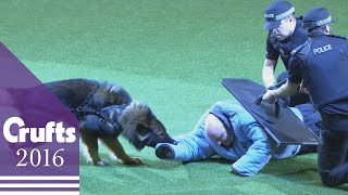 West Midlands Police Dog Display | Crufts 2016