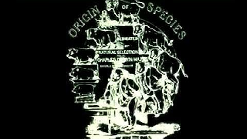 where is the evidence for evolution in the fossil record??  4-7