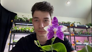 Top 5 Best Potting Mixes For Orchids