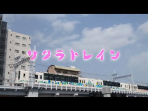 電車でお花見ができる期間限定列車「サクラトレイン」に乗ろう！