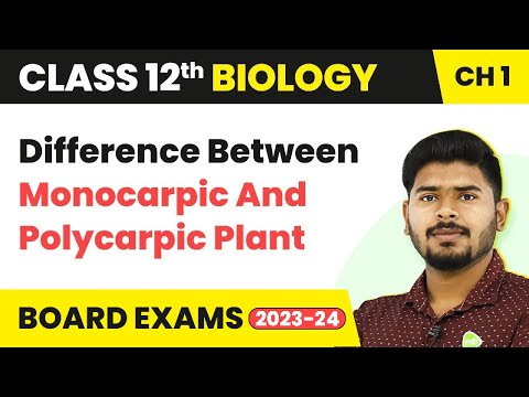 Class 12 Biology Ch 1|Difference Between Monocarpic And Polycarpic Plant - Reproduction in Organisms