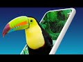 Trending 4d wallpapers app for Mobile 🔥| Attractive 4d wallpapers