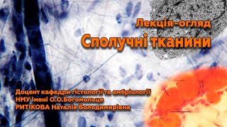 картинка: Лекція-огляд: Сполучні тканини