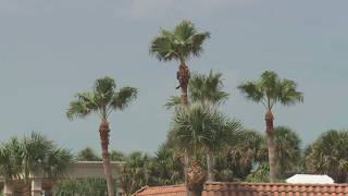 Tropical Storm Edouard nears Texas coast as schools close and flood threat grows