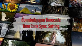 142 Timecode Sync
