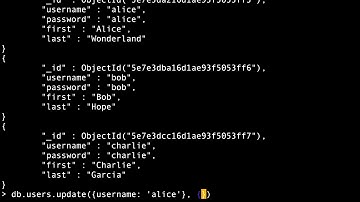 Updating user data in Mongo DB with Mongo update cs4550 sp20 12205