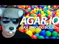 RATÃO SURTA COMPLETAMENTE JOGANDO JOGO DO BOLÃO