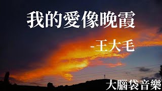我的愛像晚霞  王大毛