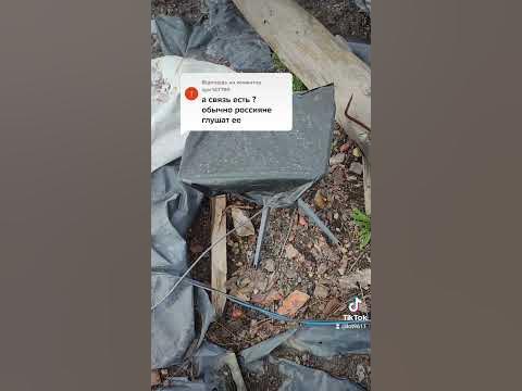 Стар лінк (1) - YouTube