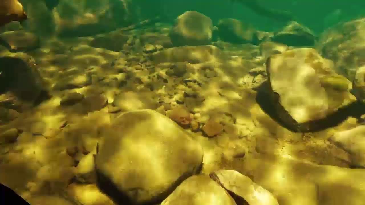 Subside PSVR2 PS5 pure gameplay live 2