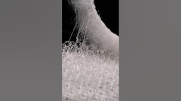 How Velcro works close-up