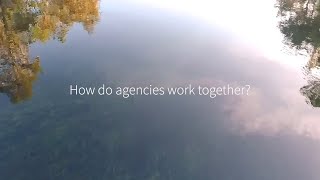 Protecting Florida Together: Website Resource and Governor’s Initiatives