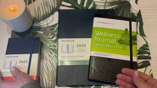 My 2023 Moleskine Planners- Daily Pocket/ XL Weekly/ Moleskine Passions Wellness Journal screenshot 2