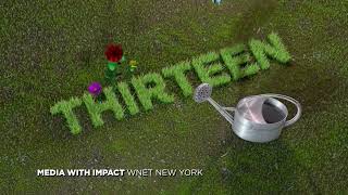 Thirteenwnet Newark, Nj, Usa - October 2022 Id Garden