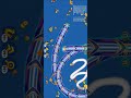 50 Racer Worm Goes Full Speed! 🚀🐍 | Worms Zone Epic Run🏷️