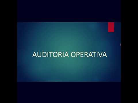 Vídeo: Què és una auditoria operativa?