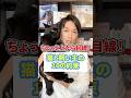 ちょっと上から目線！猫と飼い主の１０の約束