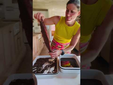 Resep Vir Ryspoeding Recipe South Africa