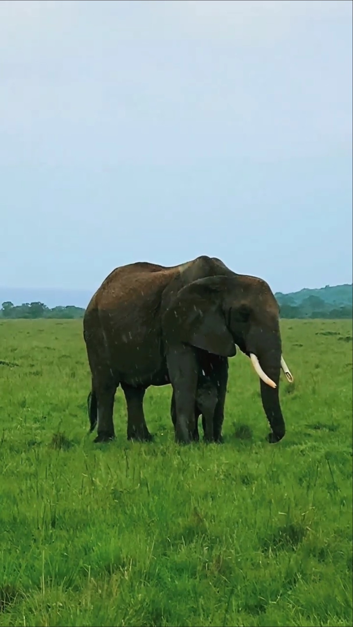 📺வைரல் தகவல்🤩 - ShareChat