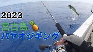今年も来た！宮古島パヤオで大物を狙う！！
