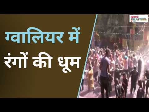 Gwalior में रंगों की धूम! रेन डांस के साथ मनाई जा रही कलरफुल होली