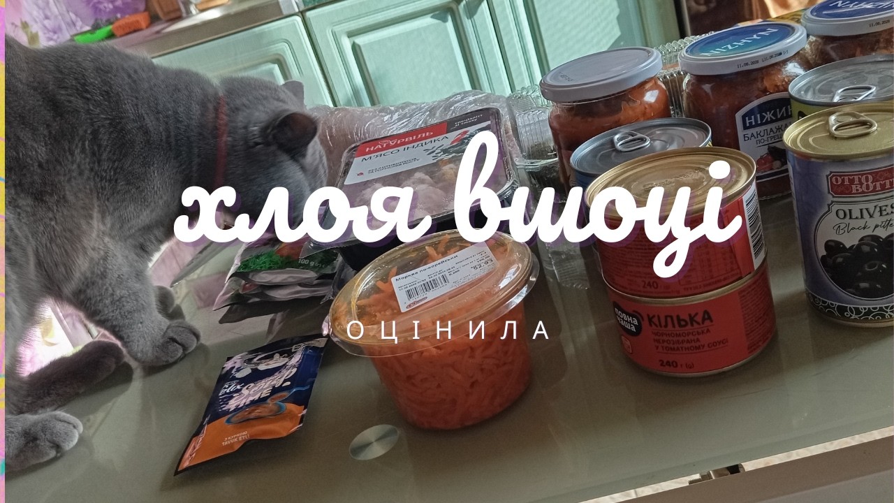 Купили- Хлоя оцінила реакція кішки на покупки