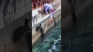 Celebrity 💯 10/10 No Notes Perfect #shorts Net Worth