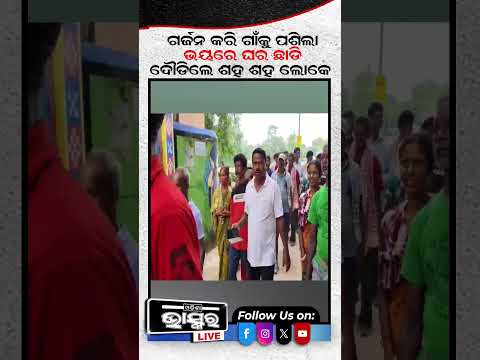 ଗର୍ଜନ କରି ଗାଁକୁ ପଶିଲା, ଭୟରେ ଘର ଛାଡି ଦୈଡିଲେ ଲୋକେ....#Elephantterror #OdishaNews #ShortVideo #Shorts
