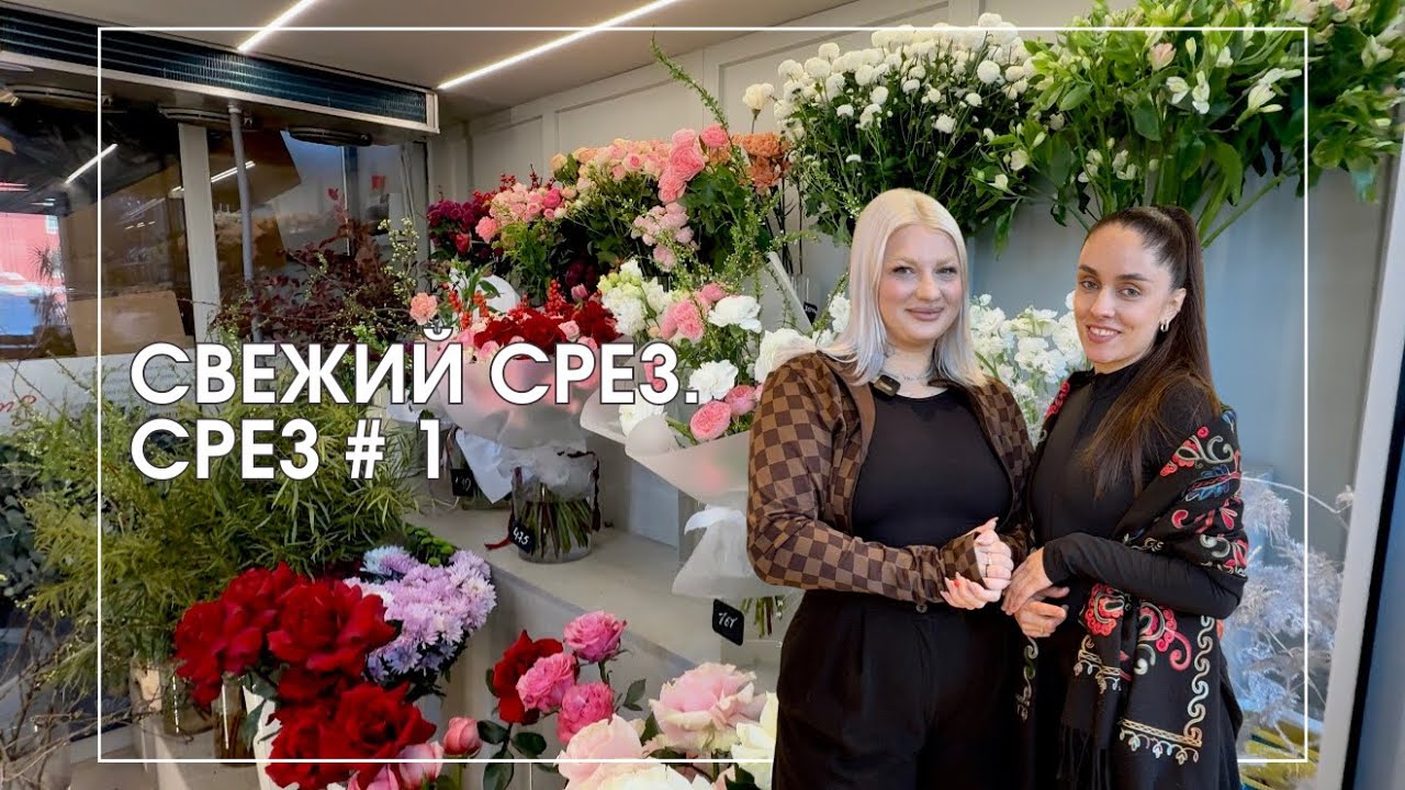 Свежий срез. Срез #1