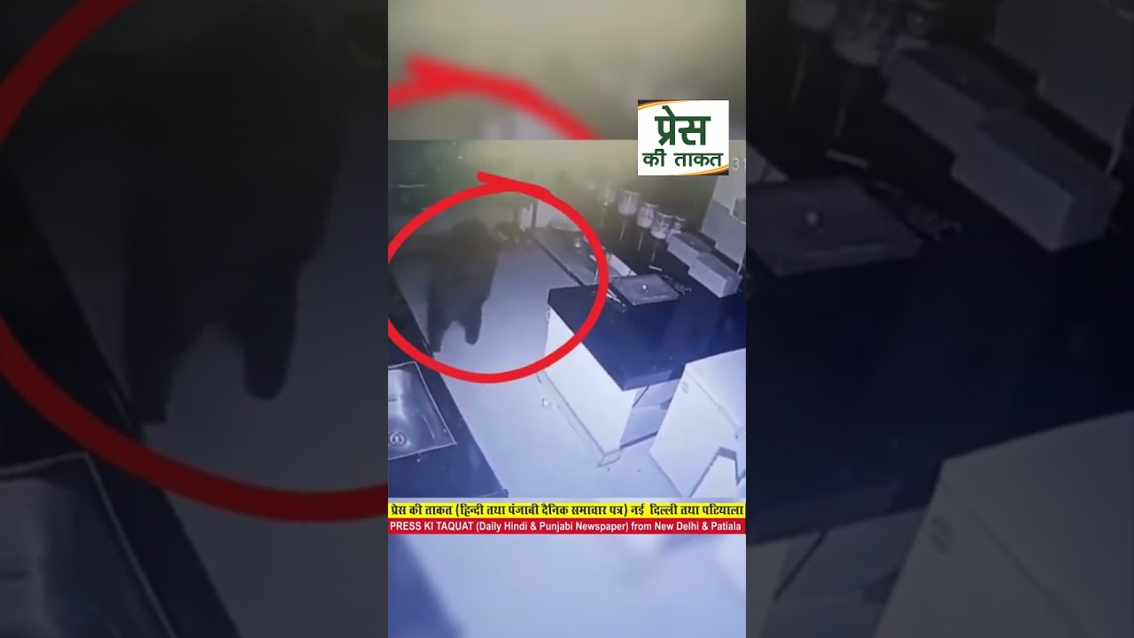 Wild Encounter: Bear Smashes Through HotelKitchen Door in Kanker, Chhattisgarh 